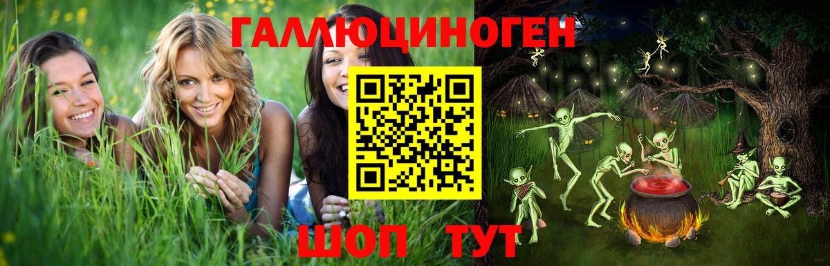 Псилоцибиновые грибы Psilocybe Киров